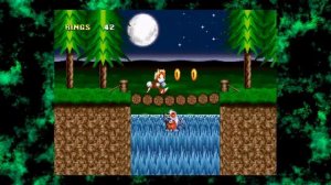 Sonic Rom Hacks | TishaProject | SHC 2019