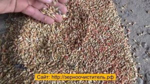 Отзыв о работе зерноочистительной машины ПЗК-30 «Мамонт»