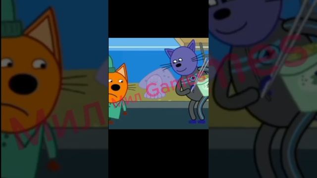 Три кота приколы #рекомендации #cupcut #memes #реки #мем смотреть онлайн