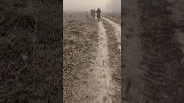в дали...