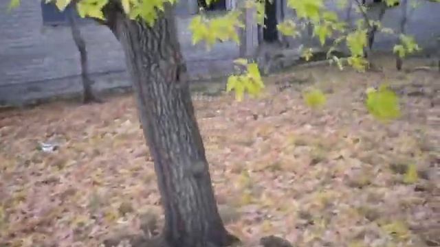 Казахстан. Костанай. Денисовка. Детские Сады, смотреть онлайн