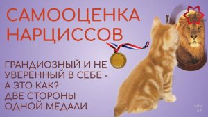 Самооценка нарциссов. Вы не имеете право быть лучше нарцисса! Почему нарцисс убивает вашу самооценку