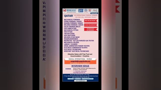 Latest Gulf jobs Vacancy , Free requirement, Oman job, QATAR jobs, Gulf jobs 2021 смотреть онлайн