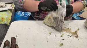 Распаковка посылки с пионами от Дуброва.