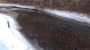 Наконец-то я её нашел, в марте...!