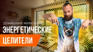 Домашние животные и тонкие планы, раскачка энергии, подарок Бога. Станислав Казаков