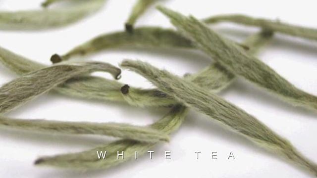 Titan Natural Focus: All Natural смотреть онлайн