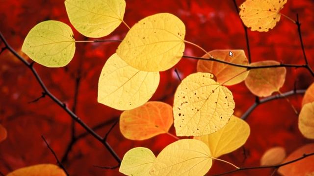 18 Фон рабочего стола смотреть онлайн