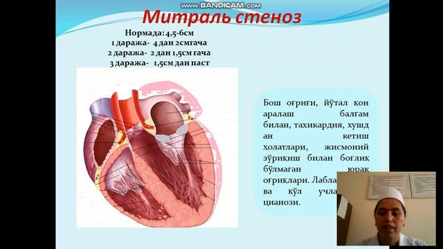 Yurak qon tomir kas va xomiladorlik смотреть онлайн