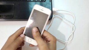 Apple iPhone SE Recovery Mode