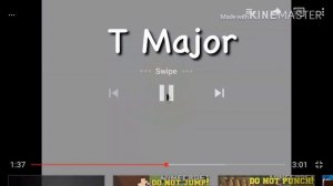 Windows Media Center Effects