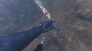 Озеро Половинное