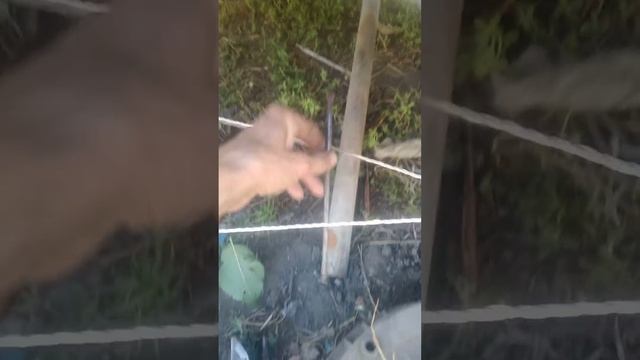 Как растянуть пружину задних тормозных колодок ваз 2106 - смотреть ...