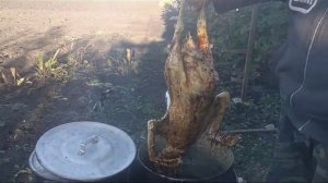 Часть 1. Очистка гуся от пера воском подсолнечника “НИ ПУХА НИ ПЕРА»