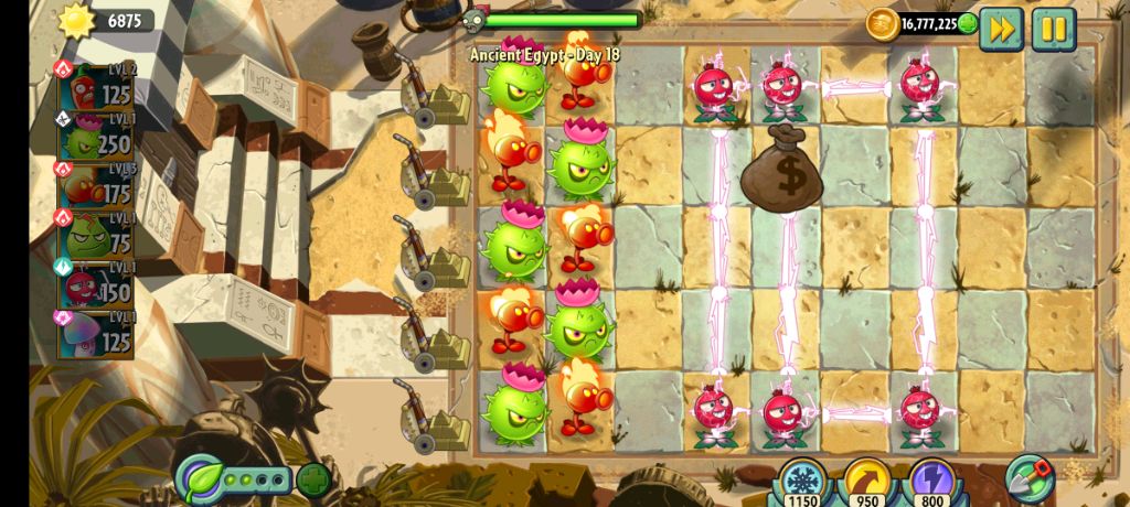 корми голубя чеек