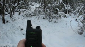 Парный тест раций WLN KD-C1 Plus, Retevis RT622, Baofeng BF-R5. Зимний лес