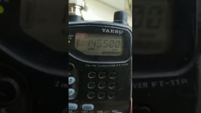 Отрезок эфира с чемпионата города Севастополя по связи на УКВ.