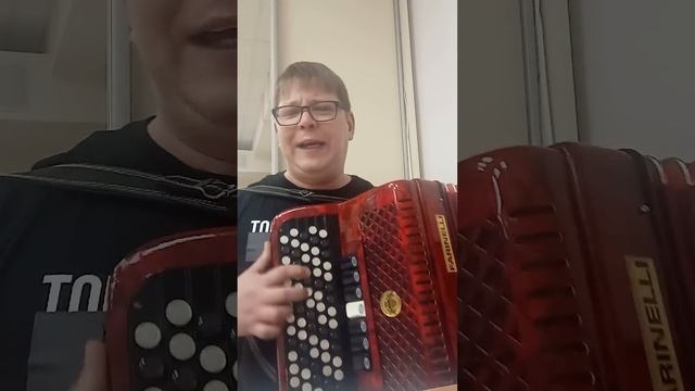 Группа Ноль Рокн ролл кавер  cover на баяне