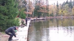 Рыбалка на нижнем водоёме. Клёвое место, Лосиный остров.