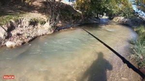 Ловля усача на течений. река Акташ. Республика Дагестан