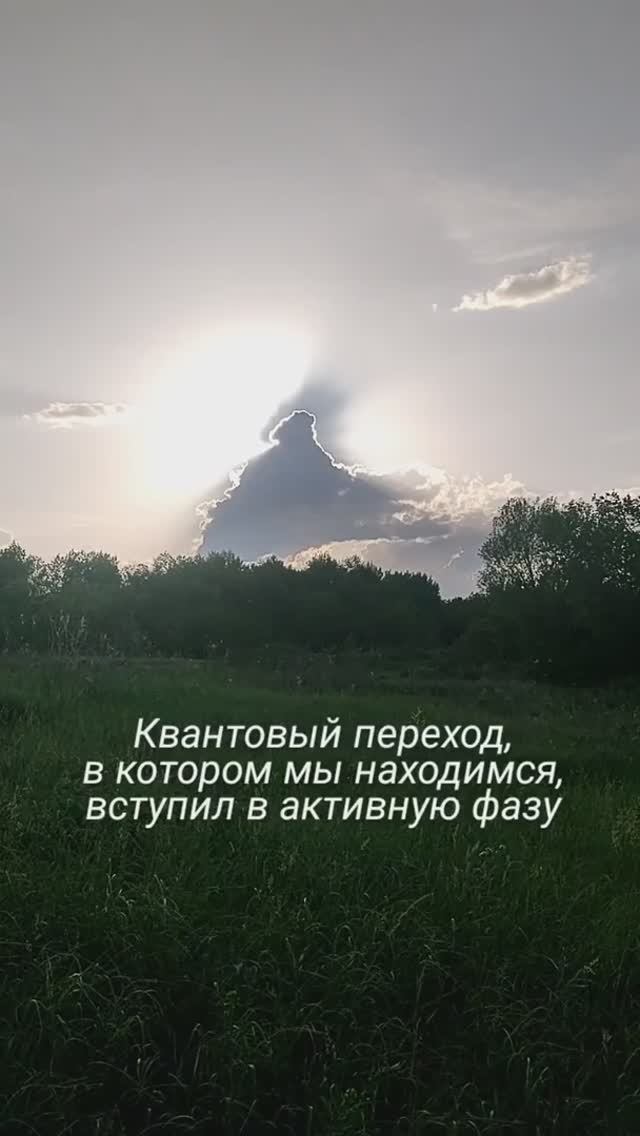 Квантовыи переход вступил в активную фазу
#переход #5д #вибрации#высокиевибрации
t.me/tarot_healing