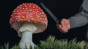 Охотник на мухоморы