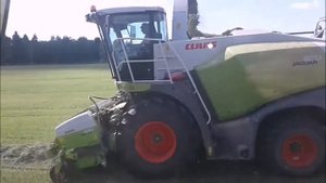 Уборка силоса.