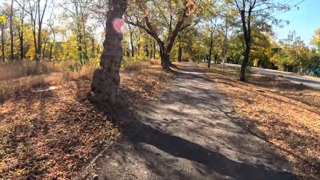 Кто ПЕРЕЖИВАЕТ за СОБАЧЕК ОТЗОВИТЕСЬ / Земля круглая - она ЖИВАЯ /Теперь у Лены ГОЛЛИВУДСКАЯ УЛЫБКА
