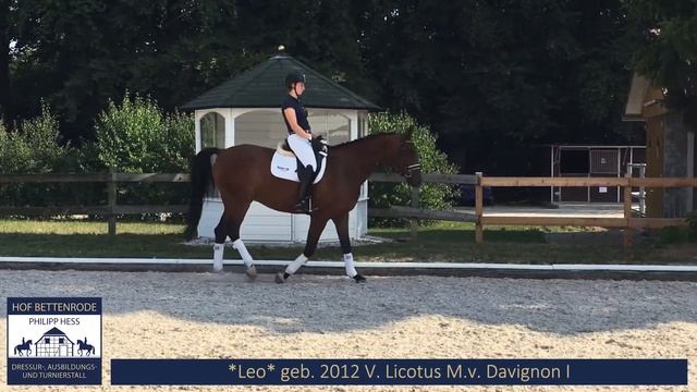 Leo GGA смотреть онлайн