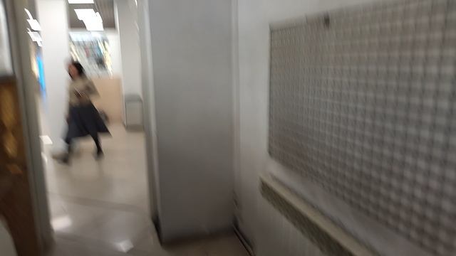 пионер остров внутри