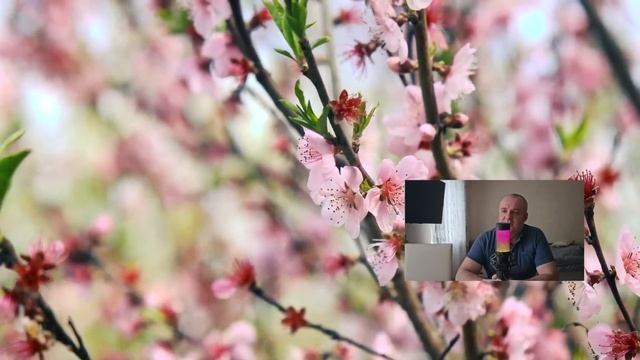 Свекровь влепила невестке пощечину, после этого Кристина решает прочить мужа и свекровь...