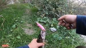 Рыбалка в Чечне. Первая охота на щуку в Чечне.