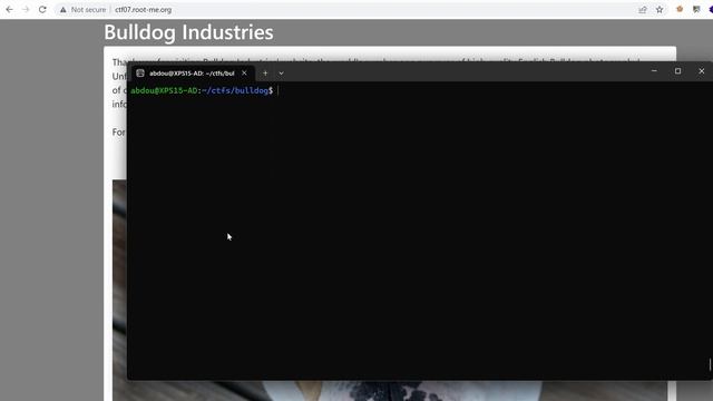Recover SHA1 hashes using Cewl, john and hashcat! - Bulldog Walkthrough Ep2 смотреть онлайн