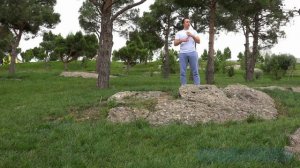 Зарядка в парке (Среднего уровня) 15 минут, стоя