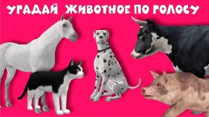 ⚡ Угадай животное по голосу ❎ Развивающие мультики