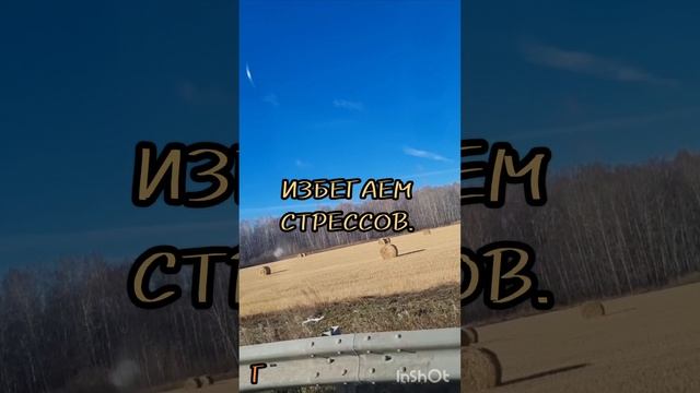 22 октября АСТРОЛОГИЯ ДНЯ,Гадаю онлайн,магия в помощь.#22октября #астрологиядня #гадаюонлайн #магия