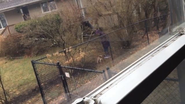 Cleo. 3.25.2016 part 1 смотреть онлайн