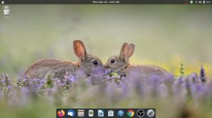 How to install themes in ubuntu 18.04 (Beautiful theme)