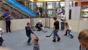 Детский хоккей с мячом в Пардубице (Чехия)