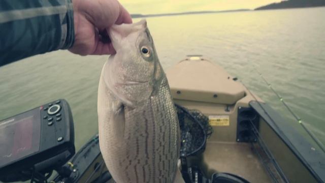 Lincoln Street Bass Fishing - OOW Outdoors смотреть онлайн