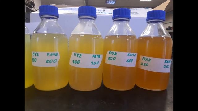 Car on fame. Автомобиль на жире. Automobilis ant taukų. Samochód na tłuszczu. смотреть онлайн