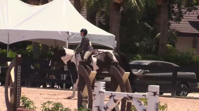 Evolutionary and Margot Hirsch Adult Amateur Hunters at ESP смотреть онлайн