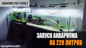 Запуск аквариума на 220 литров