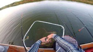 Капитан Гак отпускает сазана