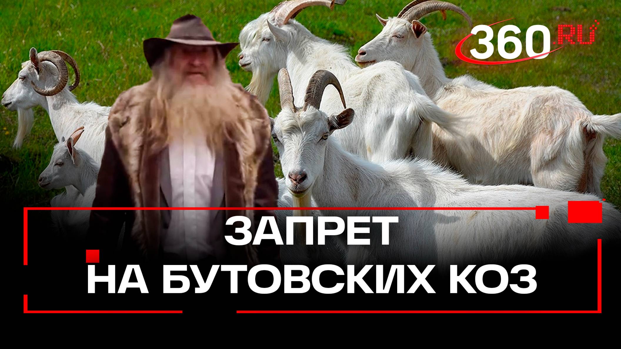 Деду из Бутово запретили содержать коз. Их владелец Валерий Аникеев снова опоздал в суд