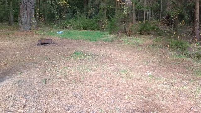 Волга 20.10.24 г.