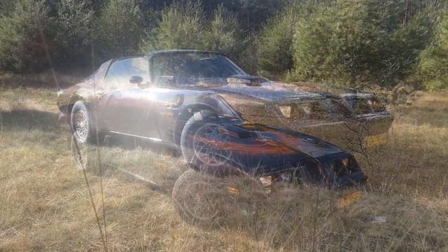 Pontiac Trans Am 1981 смотреть онлайн