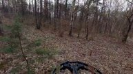 squirrel hunting crossbow