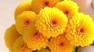 Добрый День - Пожелания доброго дня #Красивыепожелания #добромдень #доброгодня