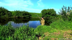 РЫБАЛКА С НОЧЁВКОЙ НА ДОНКИ КРОКОДИЛ! ПРИЕХАЛ В ДИКОЕ МЕСТО! ЗАКИНУЛ И ПОНЕСЛОСЬ! Рыбалка 2024